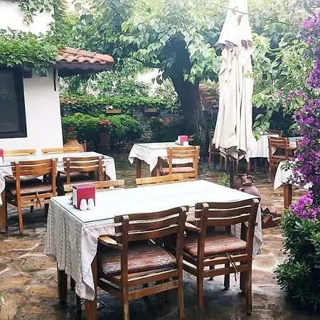 Nilya Selçuk