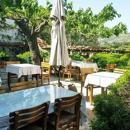 Nilya Σελτσούκ