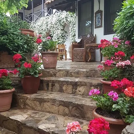 Nilya 3*