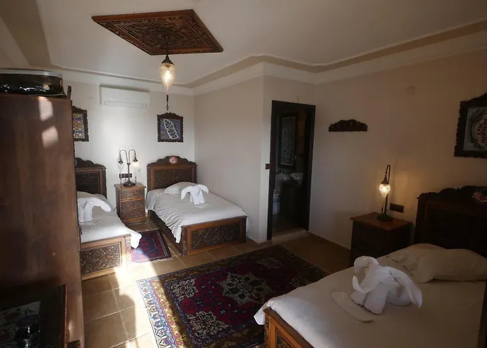 Casa de hóspedes Nilya 3*